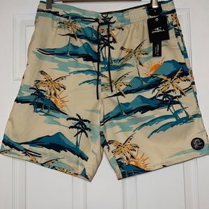 O’Neill Cabana Volley Board Shorts